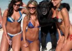 Crazy three hot babes with gorgeous bodies being silly